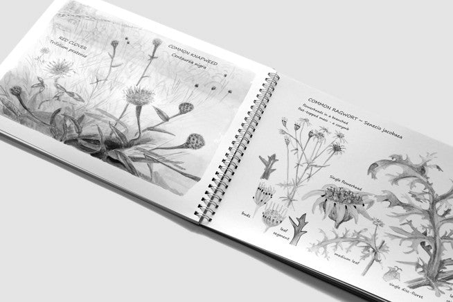 A3 Black Document Print & Bind - Jaycee