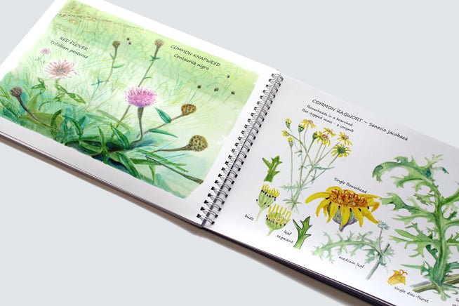 A3 Colour Document Print & Bind - Jaycee