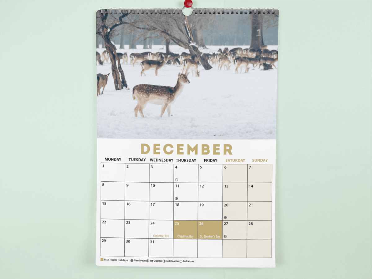 Ireland 2025 A4 Wall Calendar - Jaycee