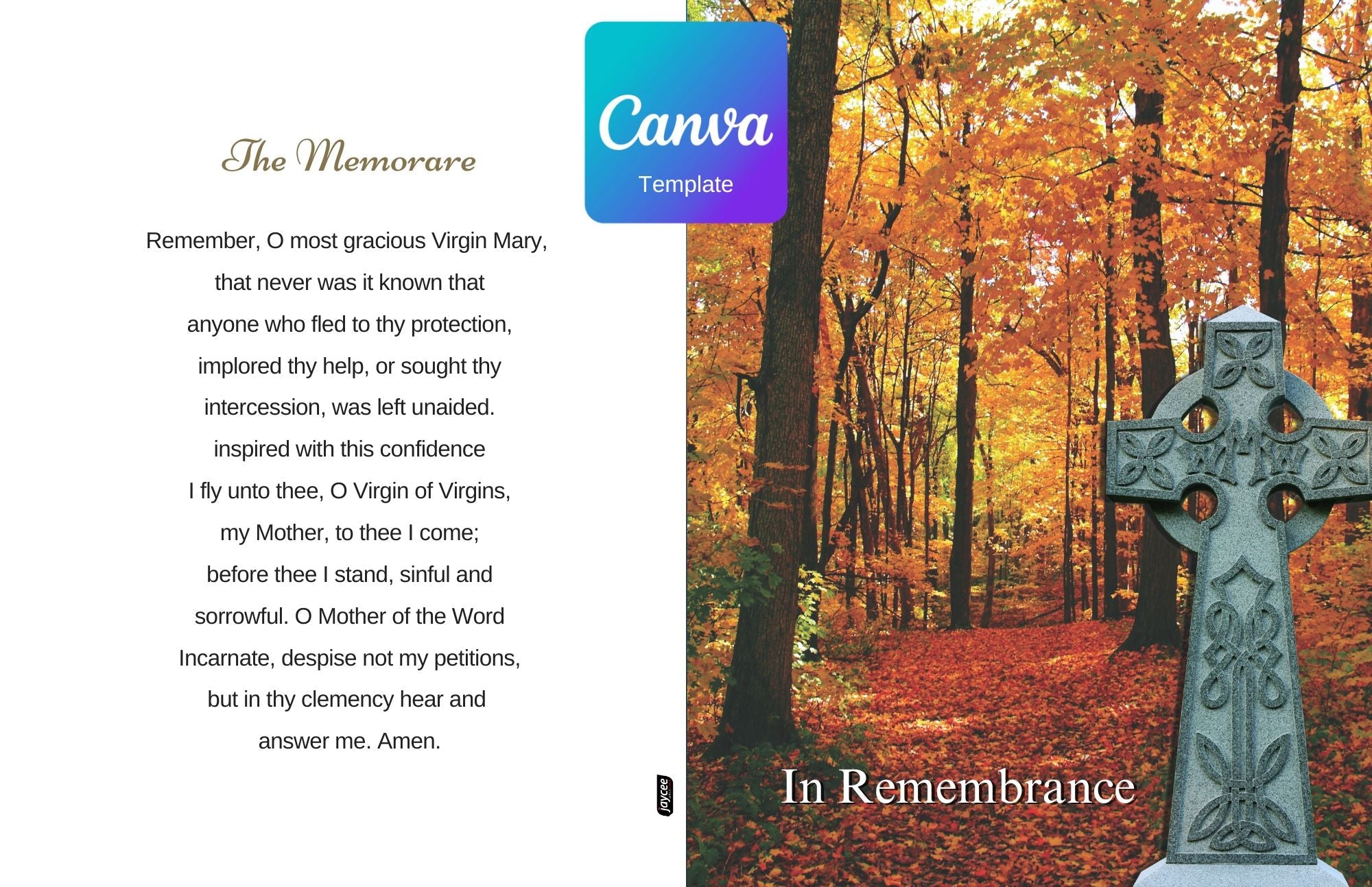 Scenic 1008 - Jaycee