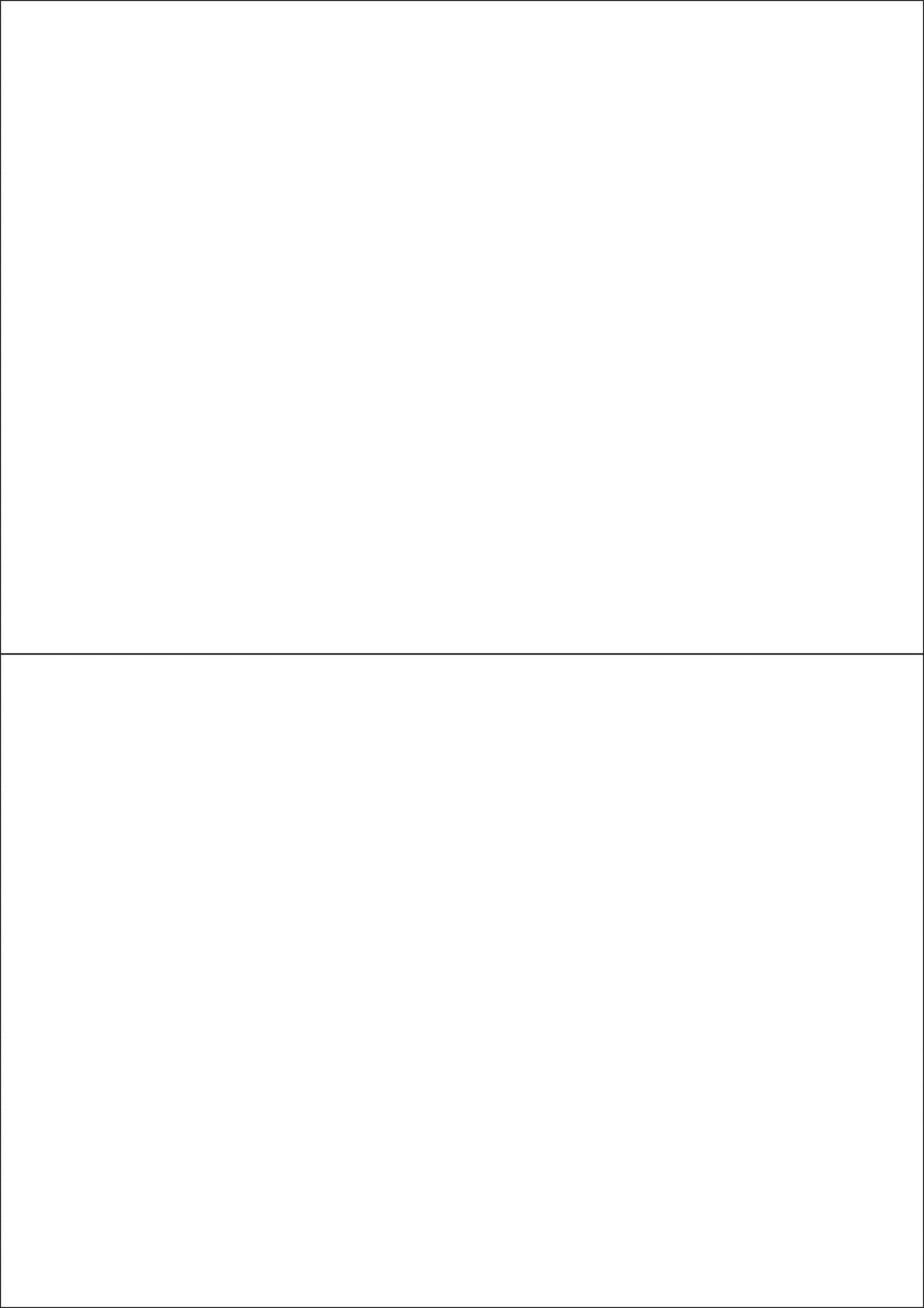 Paper Stickers - Rectangles A sizes - Jaycee