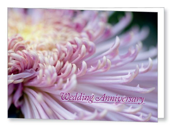 Wedding Anniversary Invite 5445 Folded - Jaycee